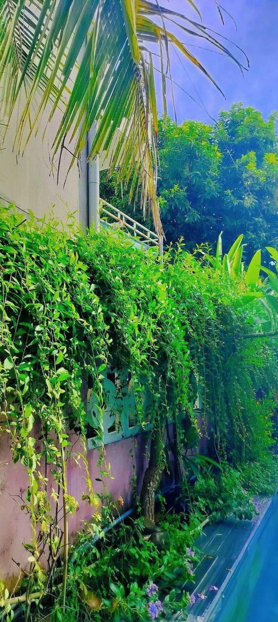 Hoi An Mountain House Villa Exterior photo